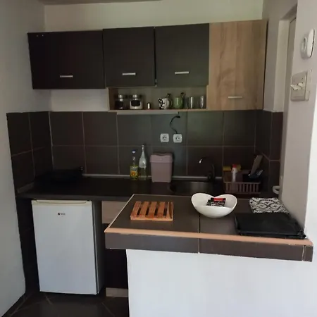 Apartment Eva Vlasinsko Jezero
