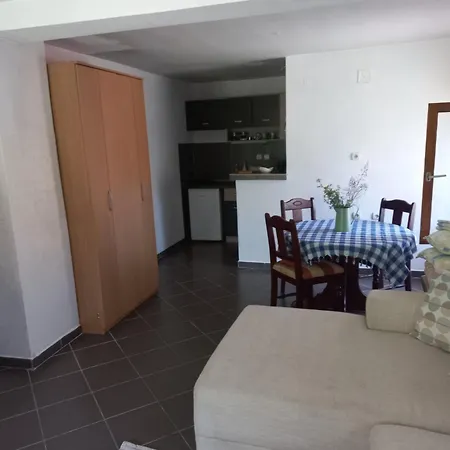 Apartment Eva Vlasinsko Jezero *